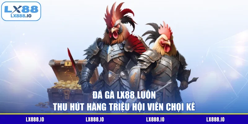 Đá gà LX88 luôn thu hút hàng triệu hội viên chọi kê